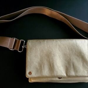 Gold Toned Clutch/Crossbody Bag